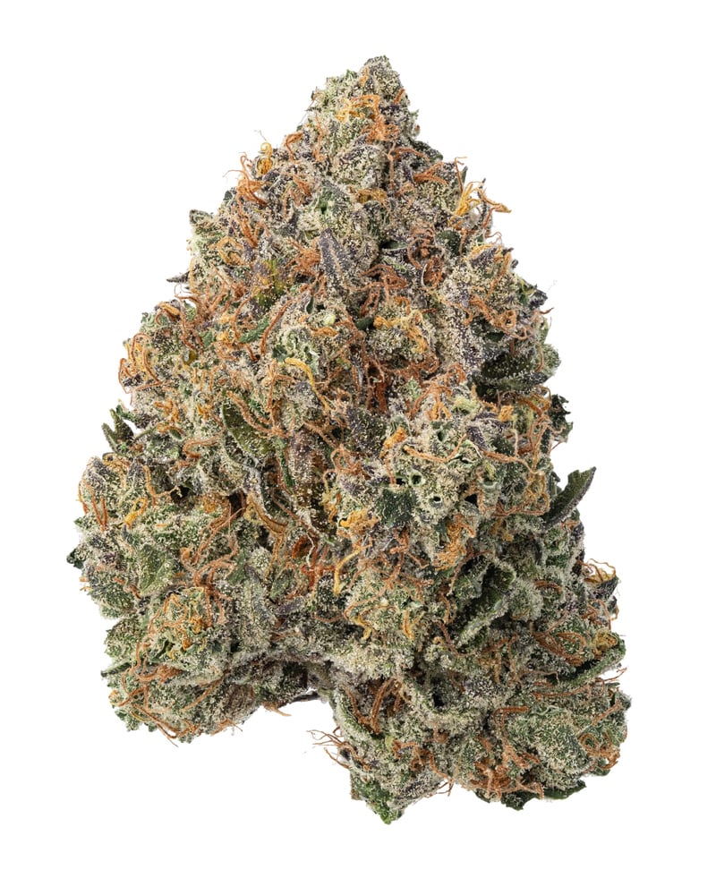 Super SIlver Haze x Gelato
