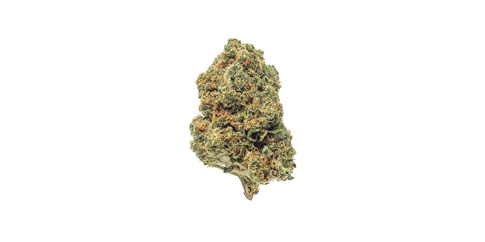 Save $10: Premier Shelf 14g for $60  special