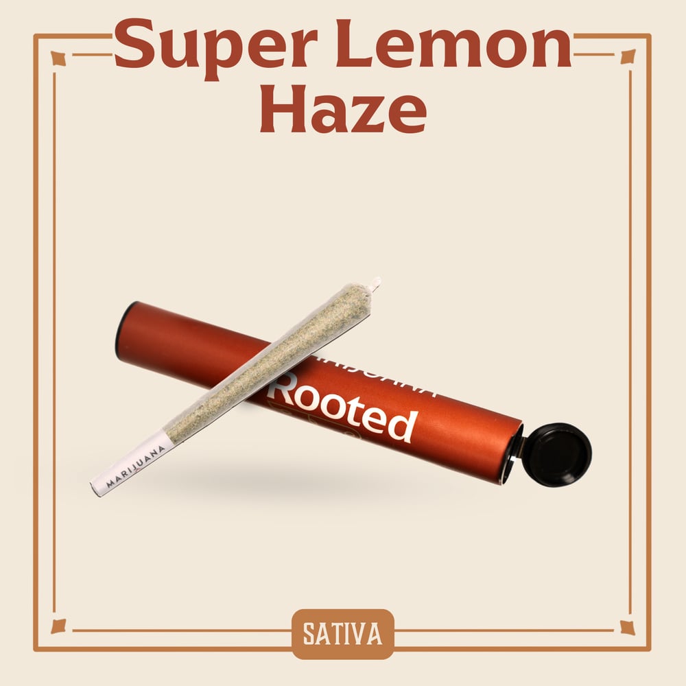 Super Lemon Haze