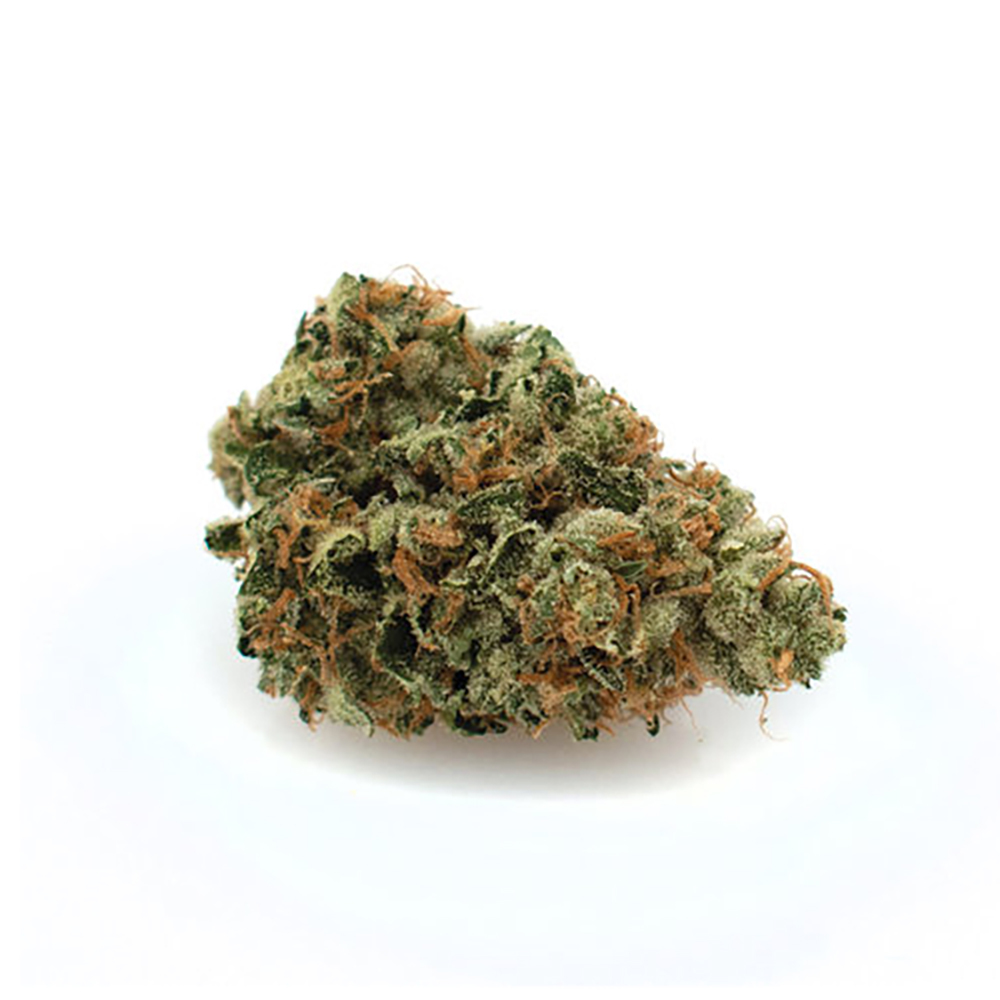 white-schrom-haze-prime-wellness-jane