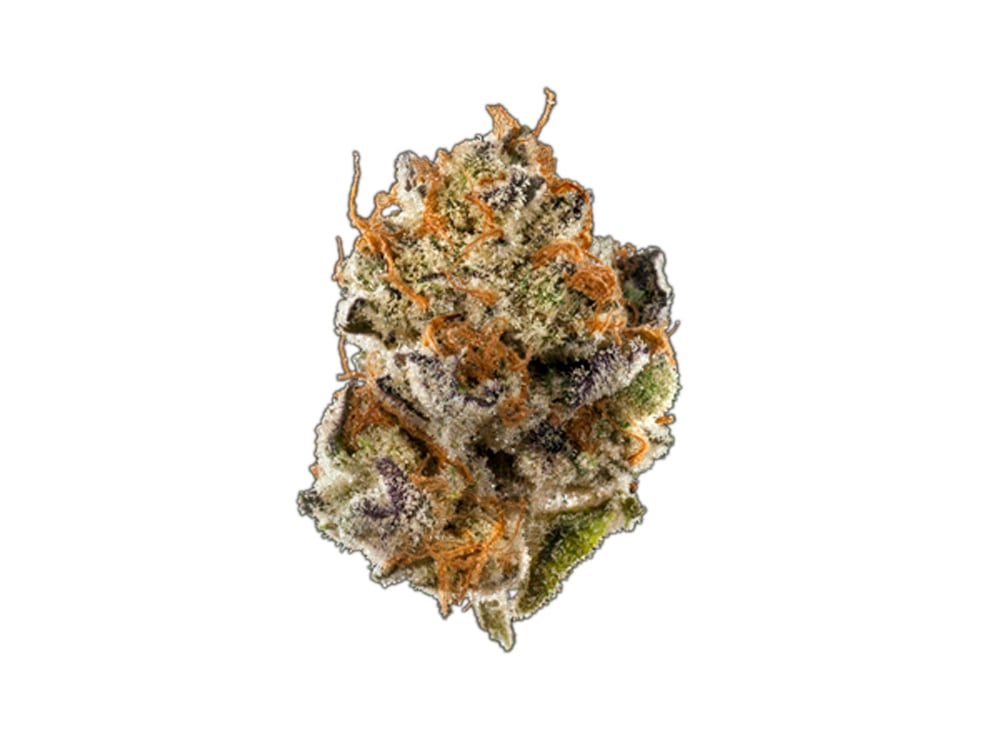 Cancer's Nightmare Jane