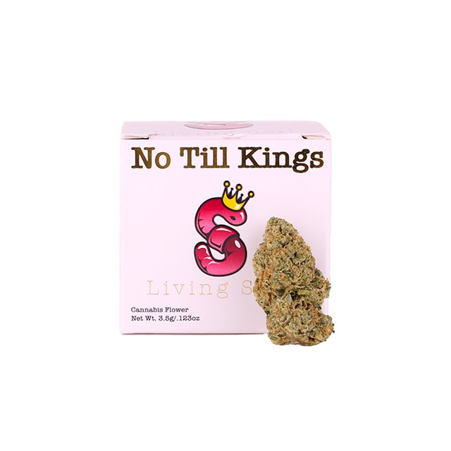 SFV x Animal Mints