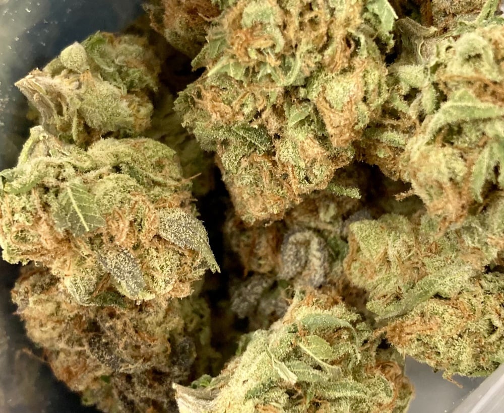 Purple Punch