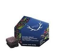 Elderberry