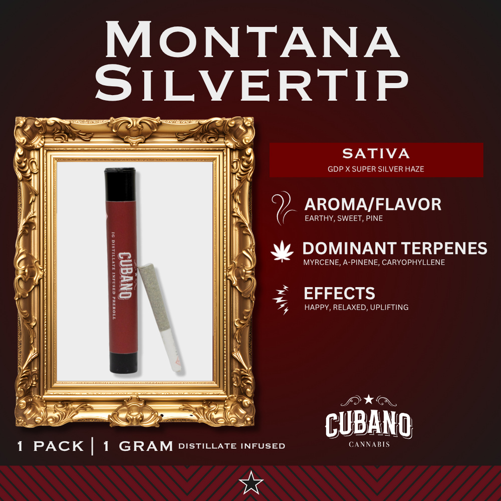 Montana Silvertip [1g]