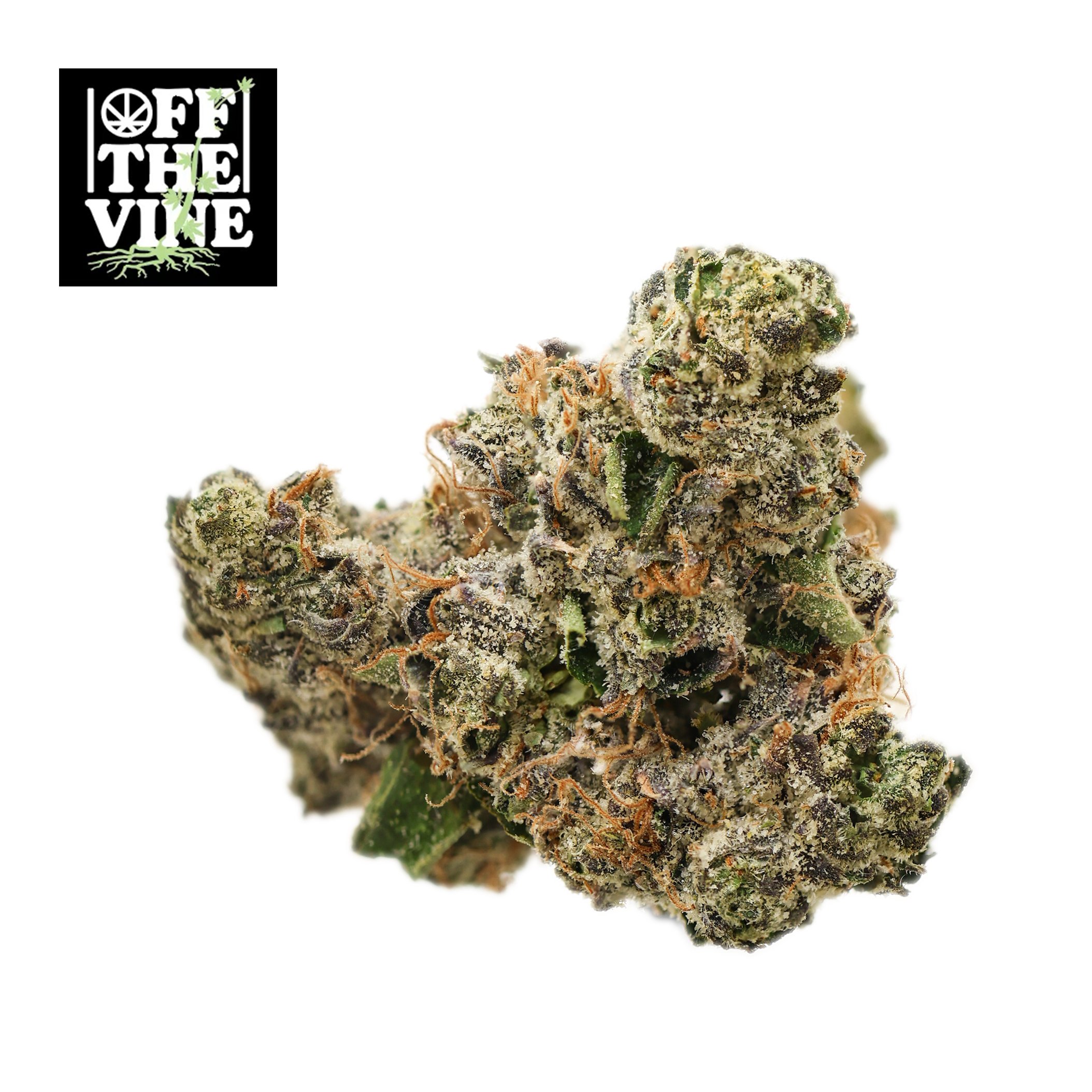 Blue Moonshine Gelato Blue Moonshine Gelato