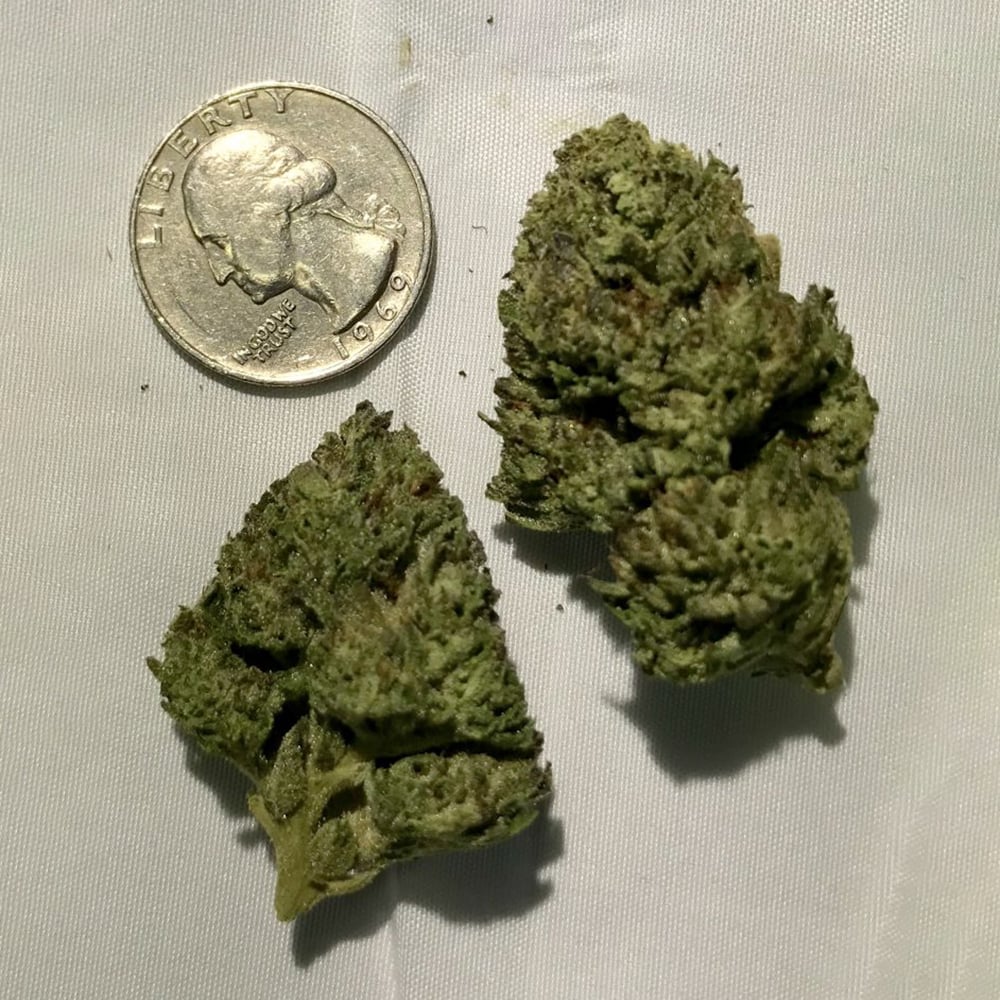 Dawg Cookies Greenway Grown Jane