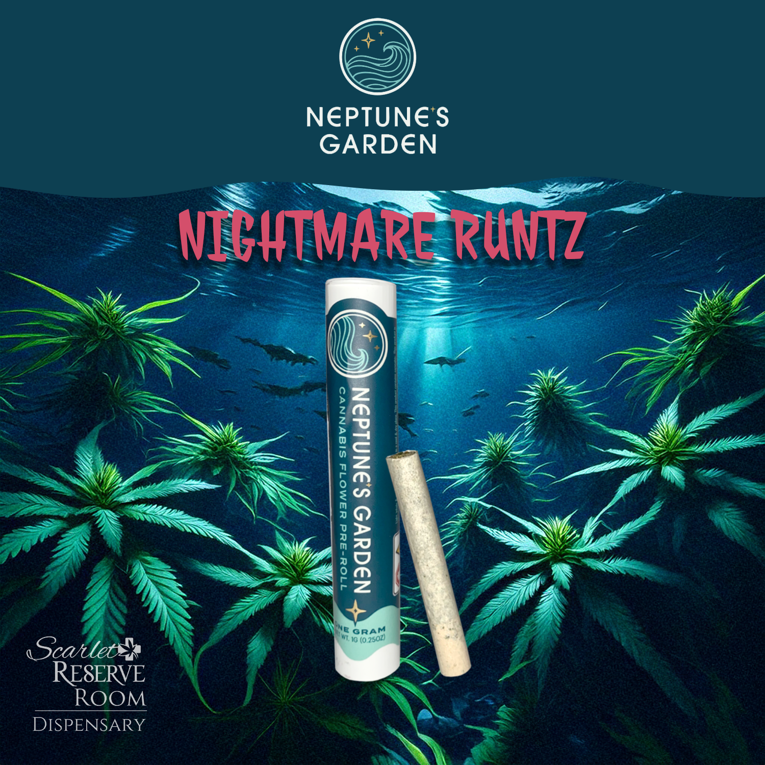 Nightmare Runtz