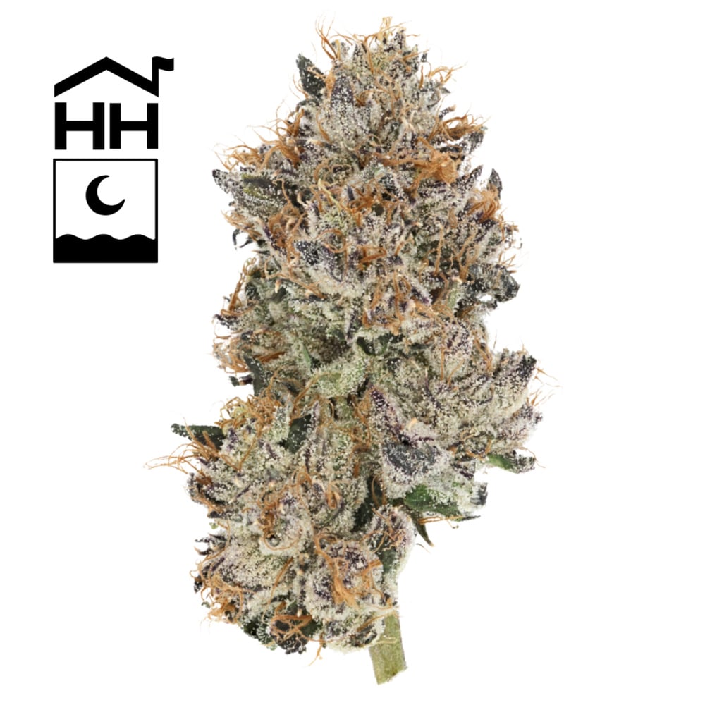 Harbor House Collective - Runtz Flower