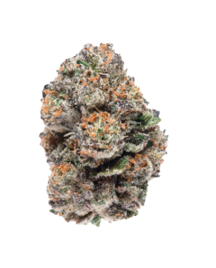 CDTテルペン Gusher 50ml CDTテルペン Gusher 50ml Gushers Terpene Liquidizer (Hybrid