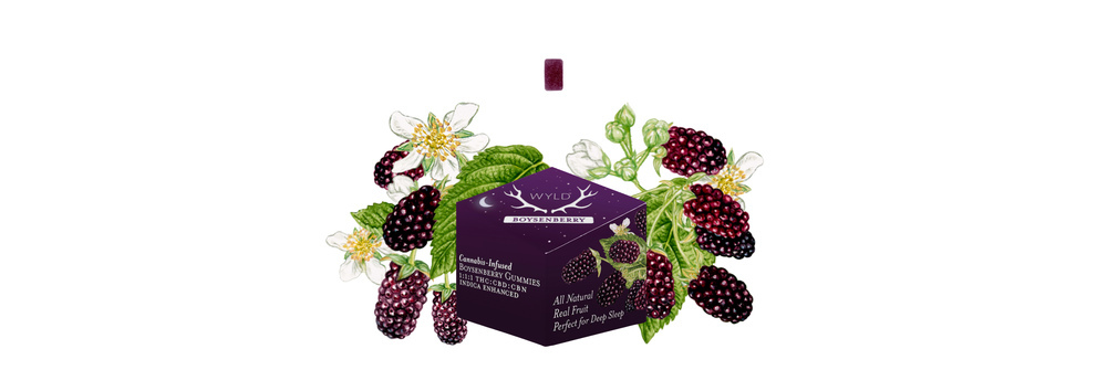 Boysenberry 1:1:1 CBD:CBN + Indica Enhanced Gummies | 100mg THC:CBD:CBN