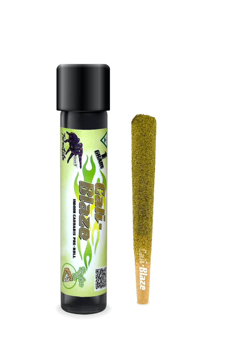 Key Lime Pie [1g]