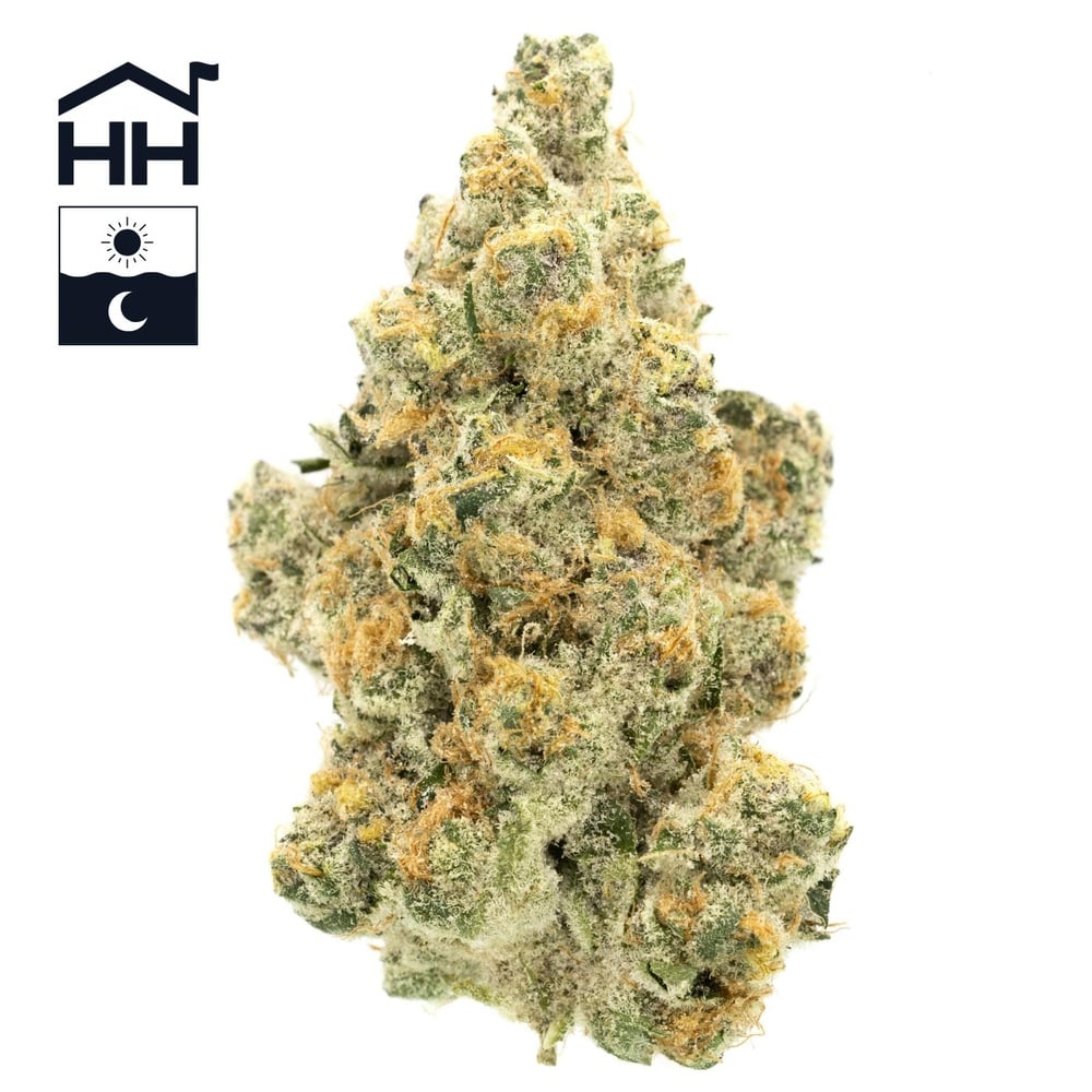  Super Boof Buds