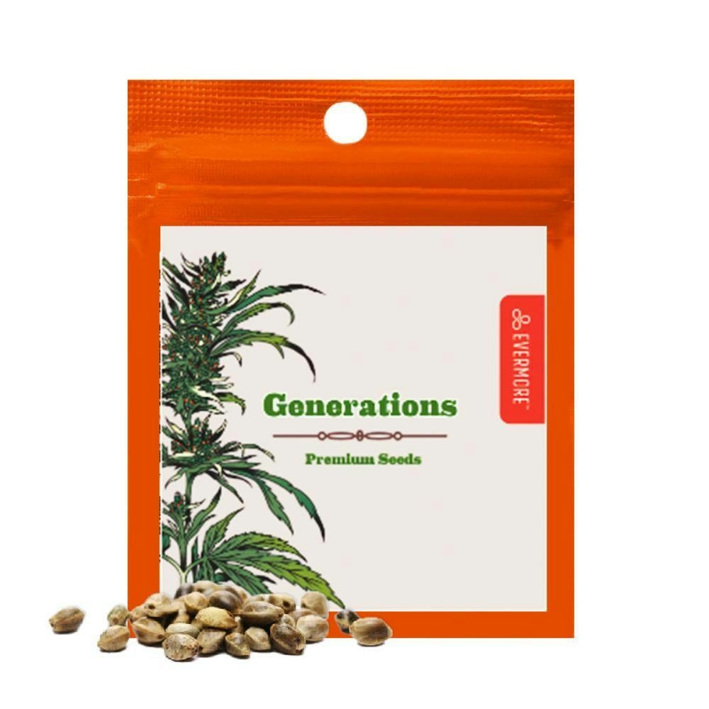 SCBD x (Z x Guava Cream 5)