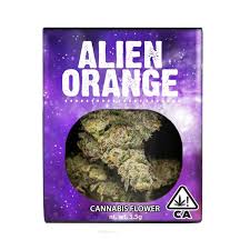 Alien Orange