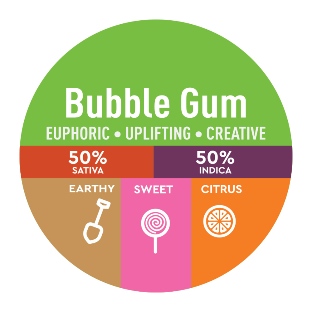 Bubble Gum