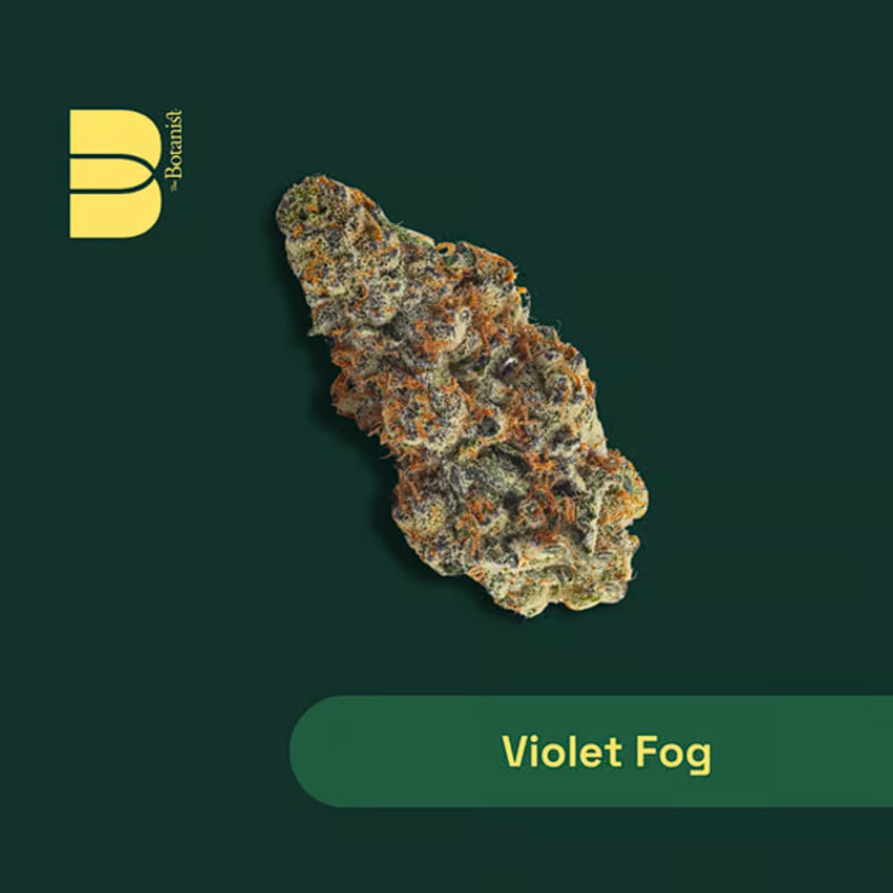 product card