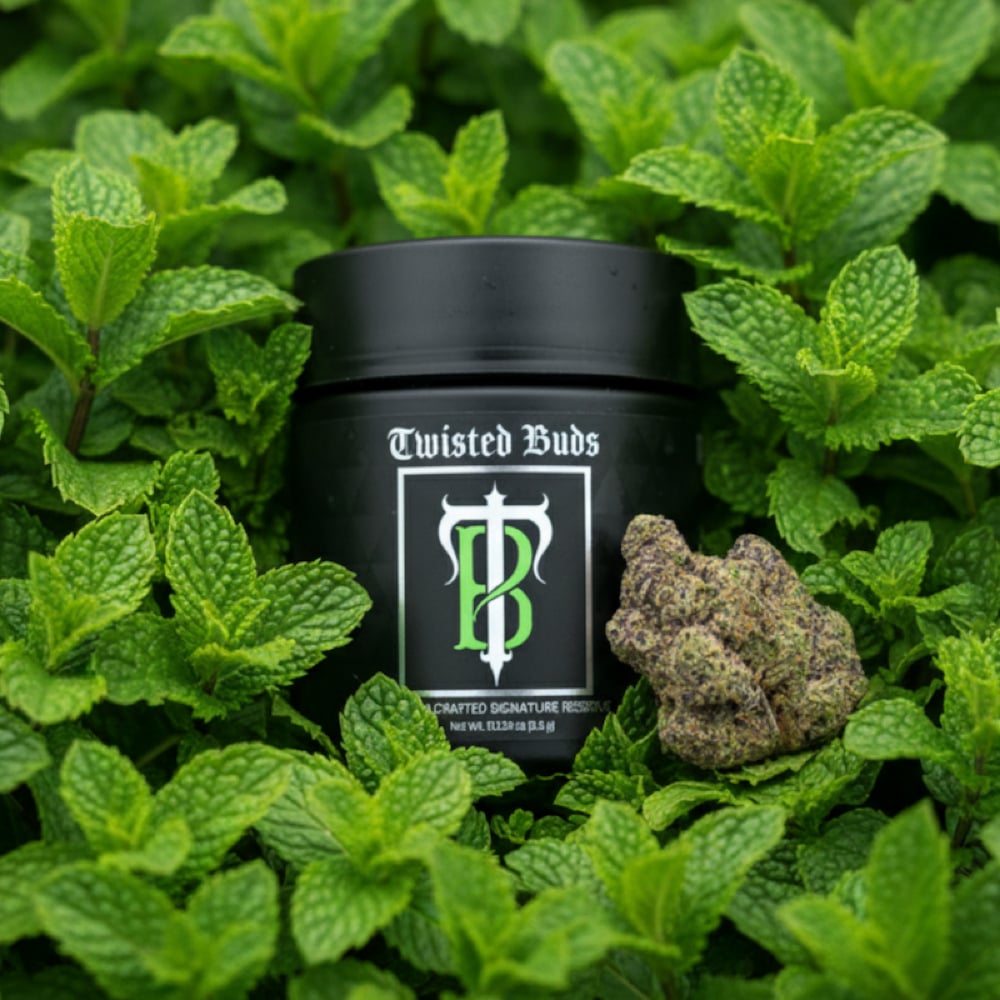 Twisted Buds - Gush Mintz Flower