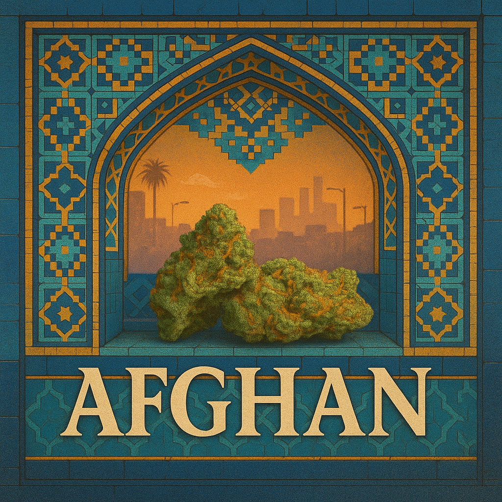 Afghan