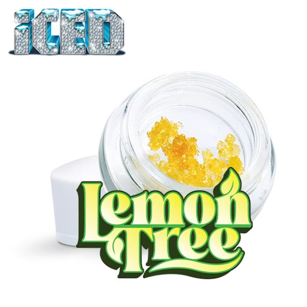 Lemon Tree