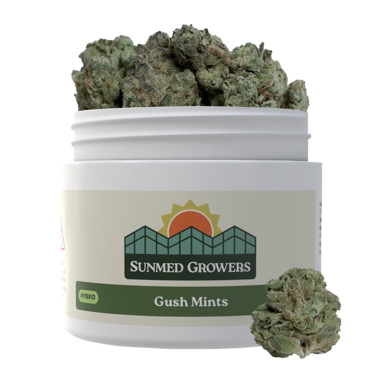 Gush Mints