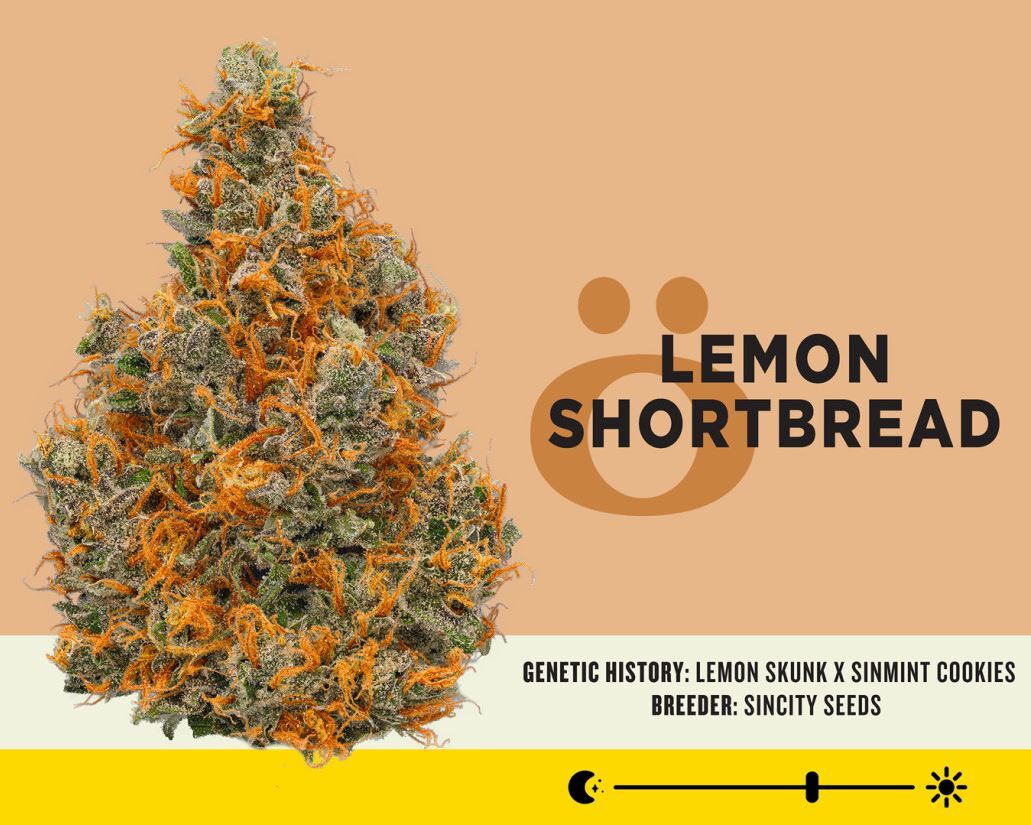 Lemon Shortbread