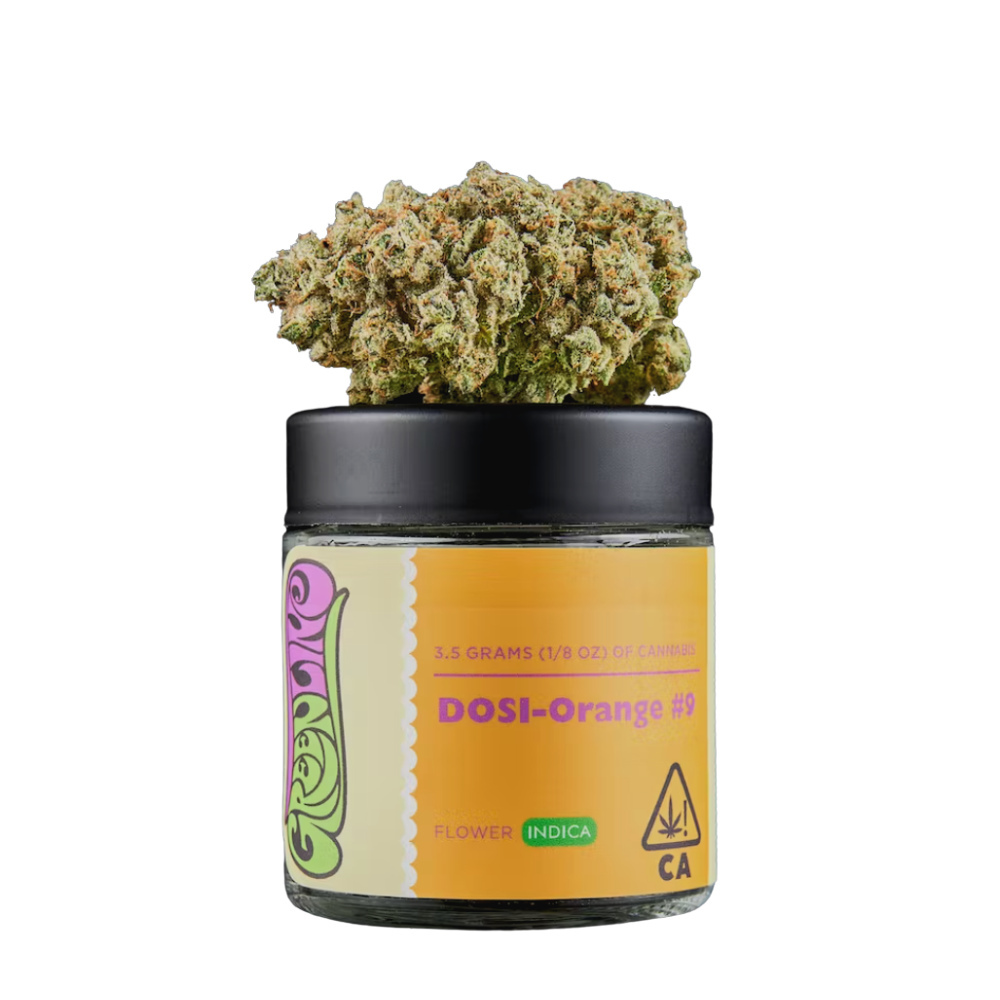 Dosi-Orange #9