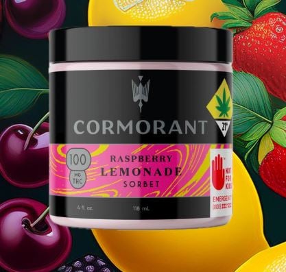 Raspberry Lemonade Sorbet