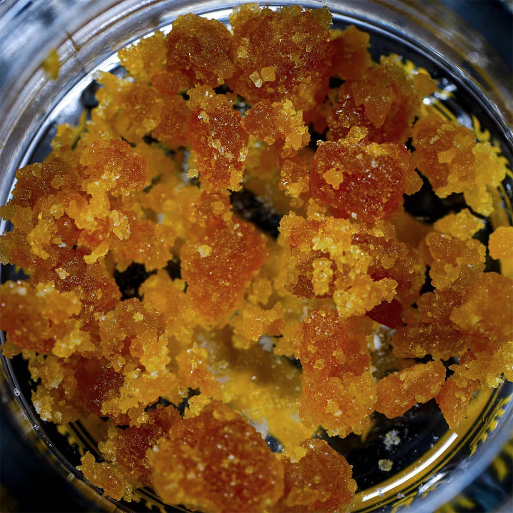 Purple Punch High Life Farms BHO Sugar Jane