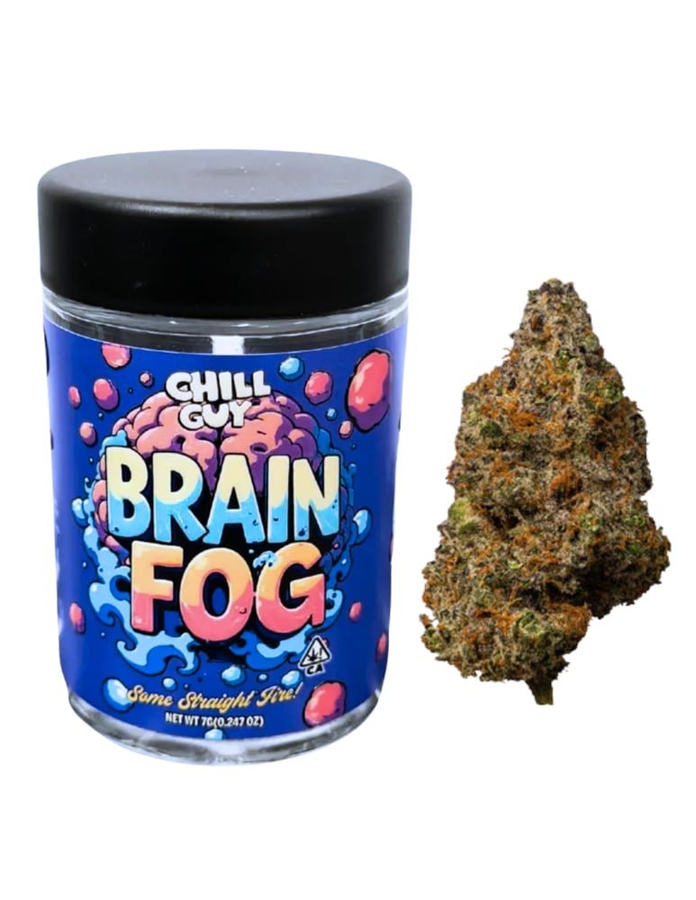 Chill Guy: Brain Fog