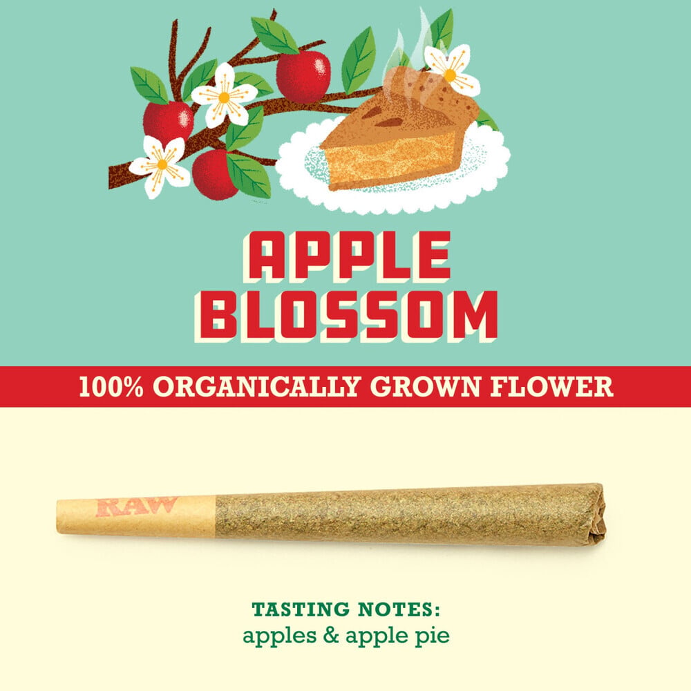 Paper Crane - Apple Blossom Pre-Roll (1g) product photo