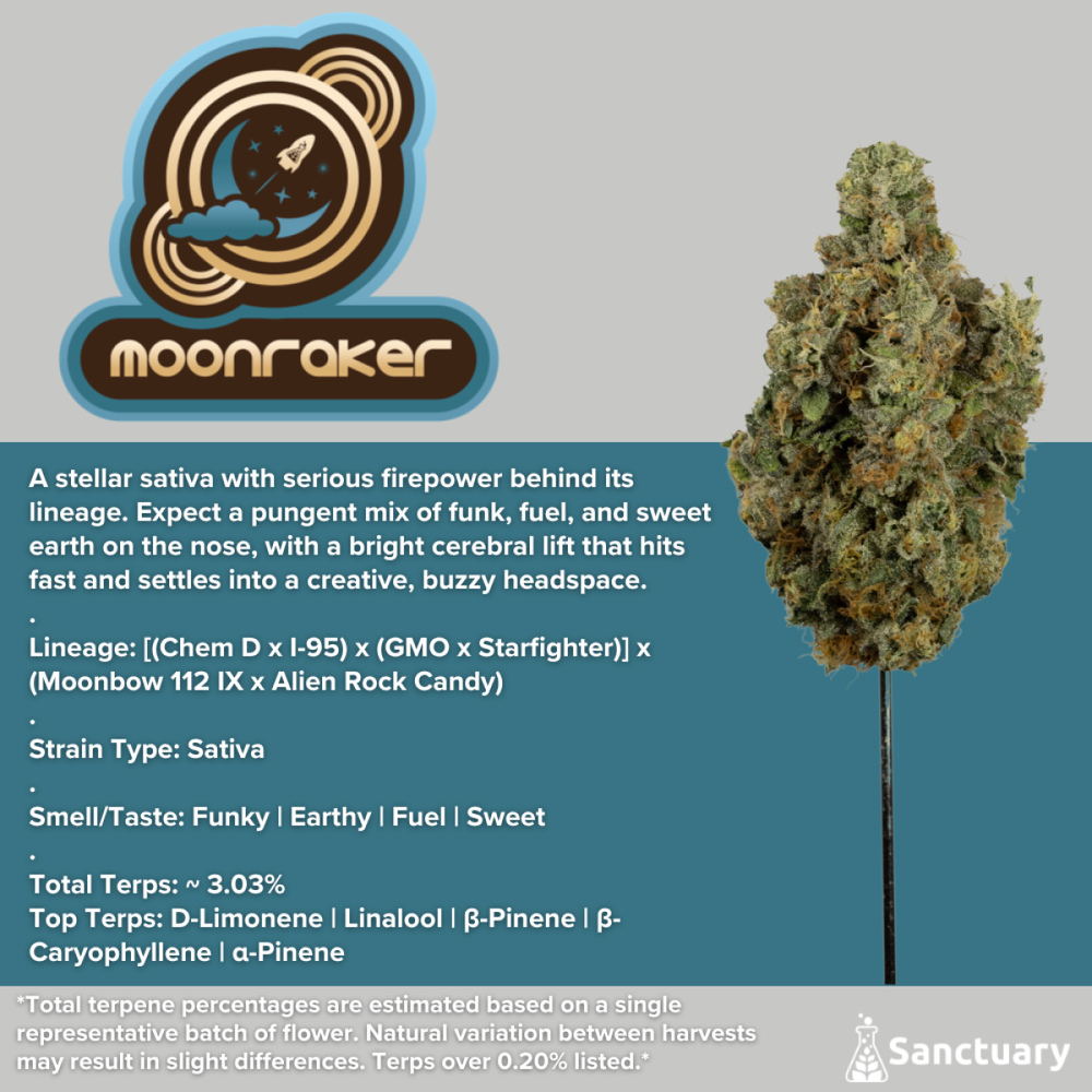 Sanctuary - Moonraker Shake