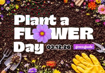 Don't Forget To Grab A Packet Of Wildflower Seeds On Your Way Out Today While Supplies Last!