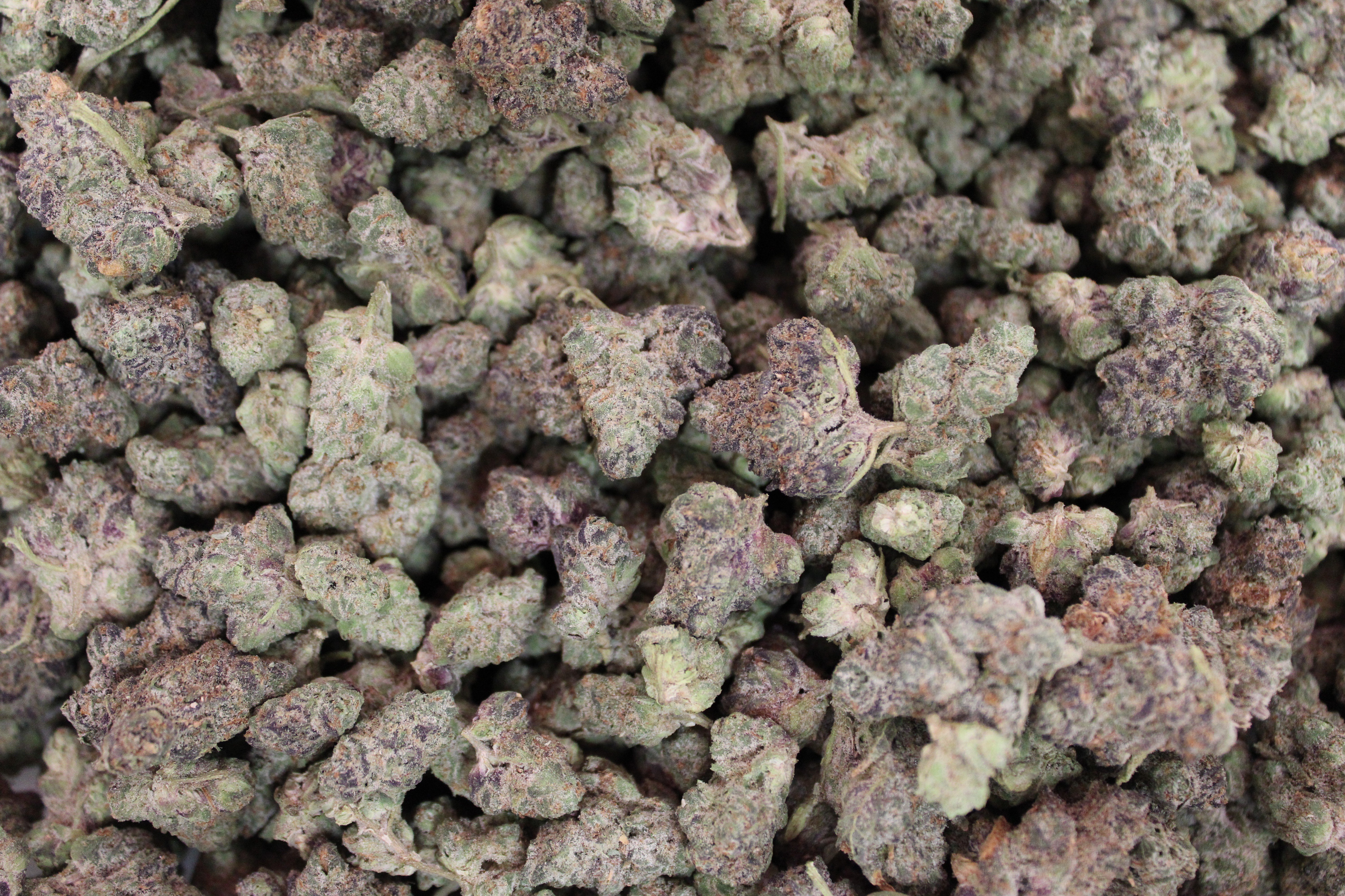Big Sioux Bud - Apple Tartz - Bulk Flower - Hybrid