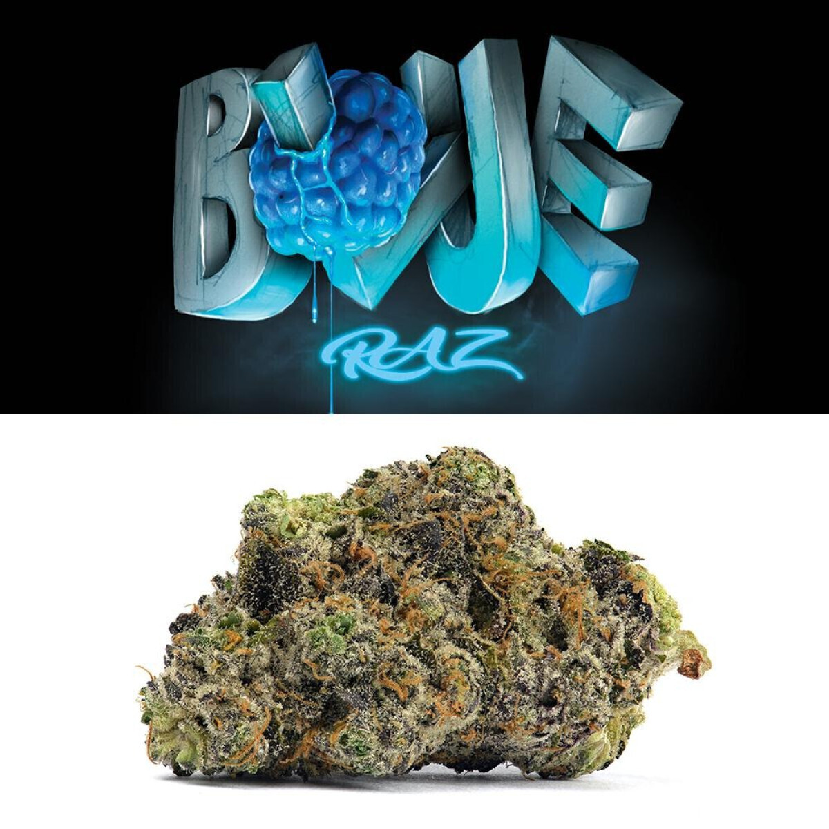 Blue Raz Flower | T19.30 | 10001 | 3.5g"