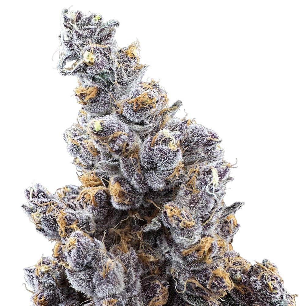 Trifecta Farms - Super Boof Flower Trifecta Farms - Super Boof Flower