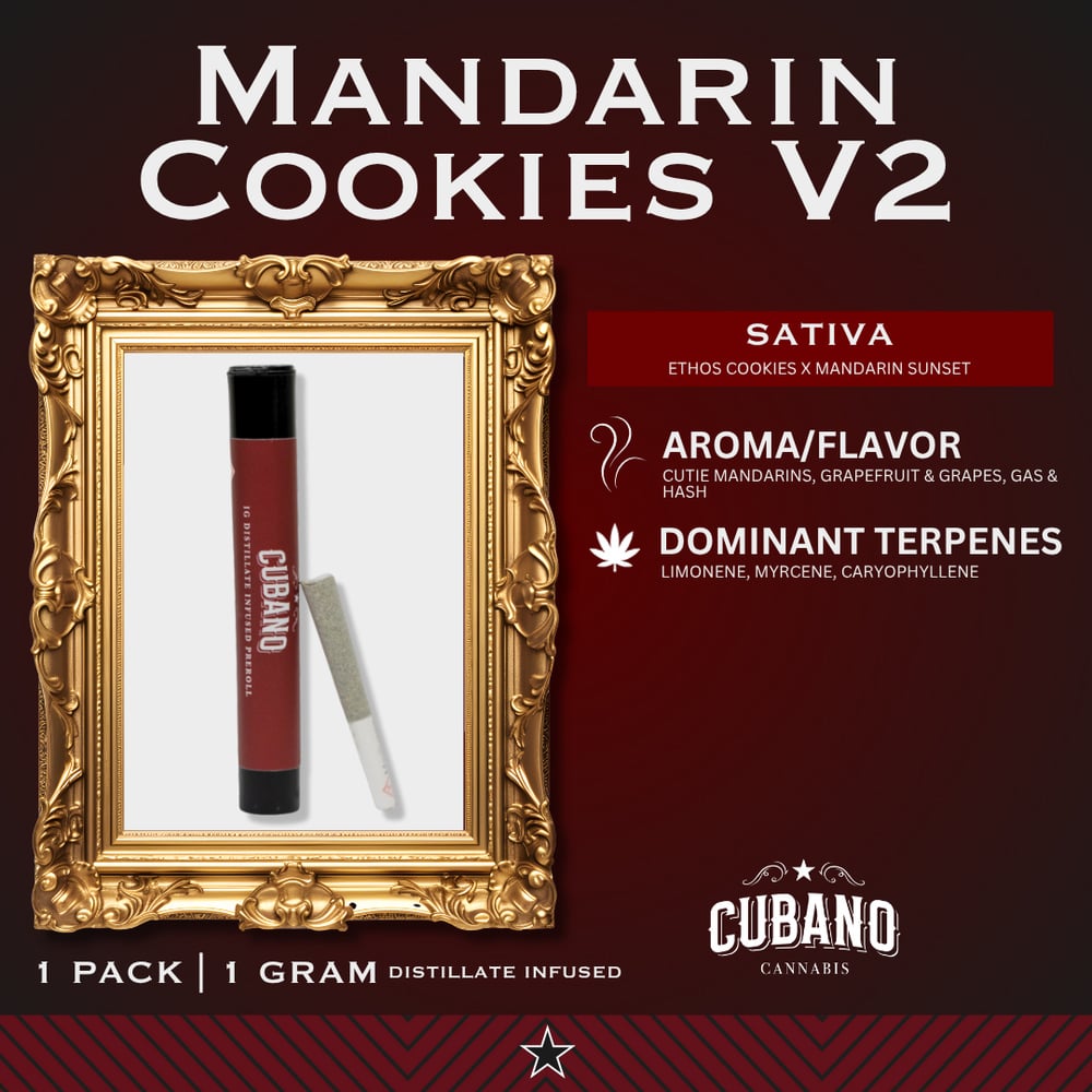 Mandarin Cookies [1g]