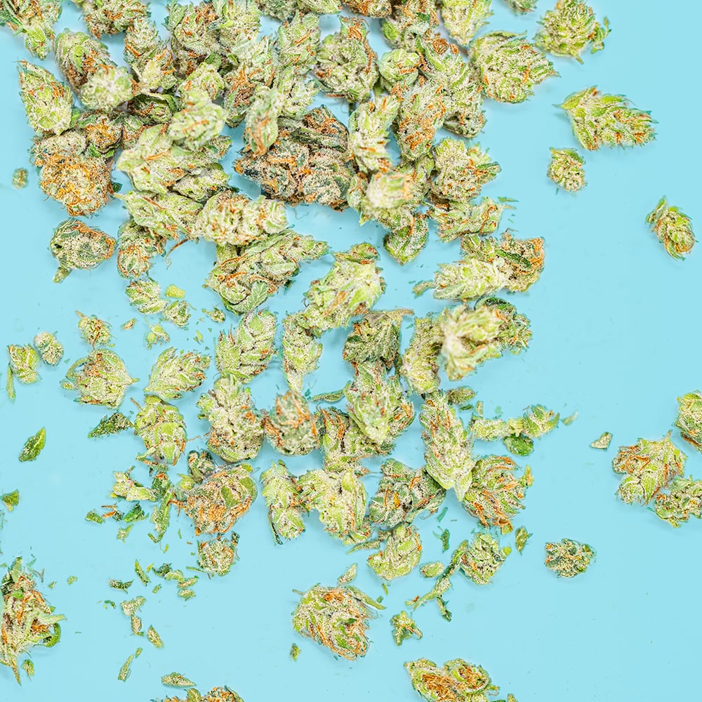 Thin Mint x Jealousy