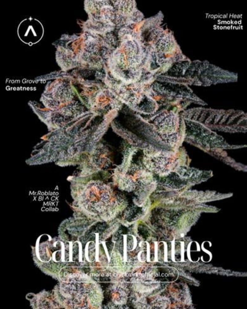 Candy Panties Candy Panties