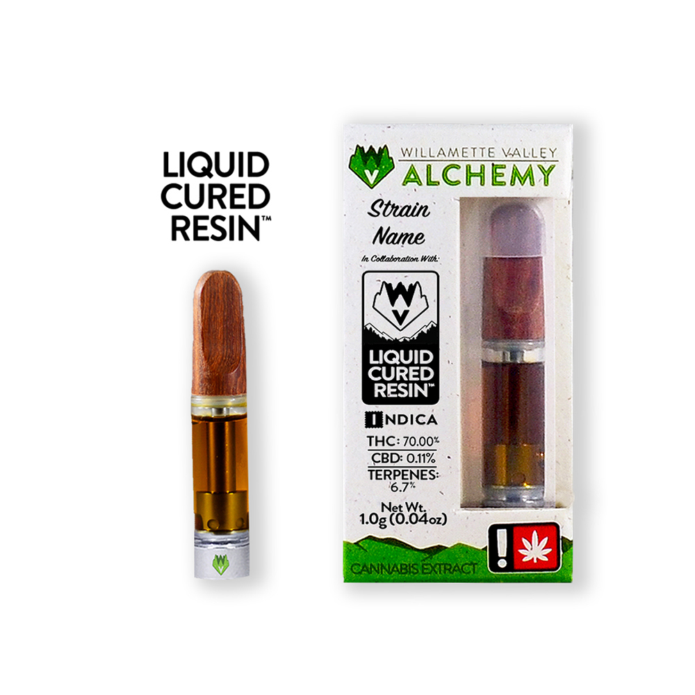 Watermelon Milkshake