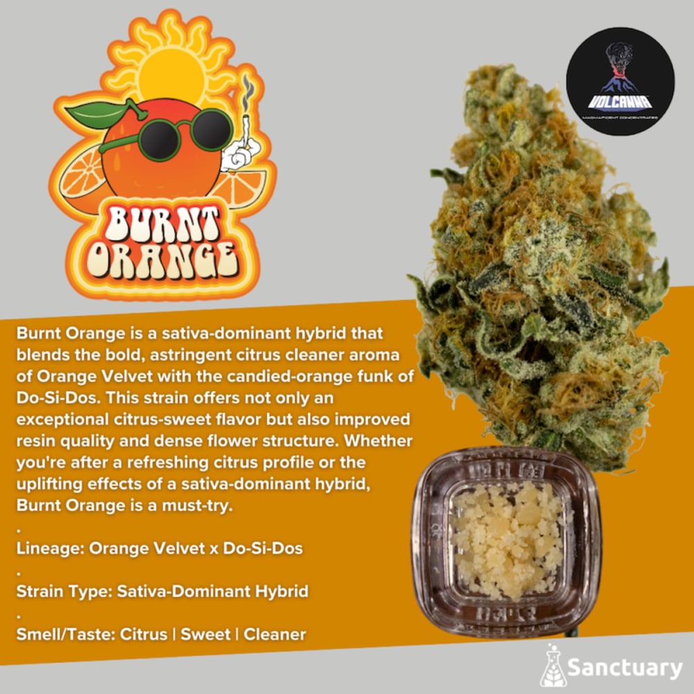 Volcanna  Burnt Orange Crumble  *NP