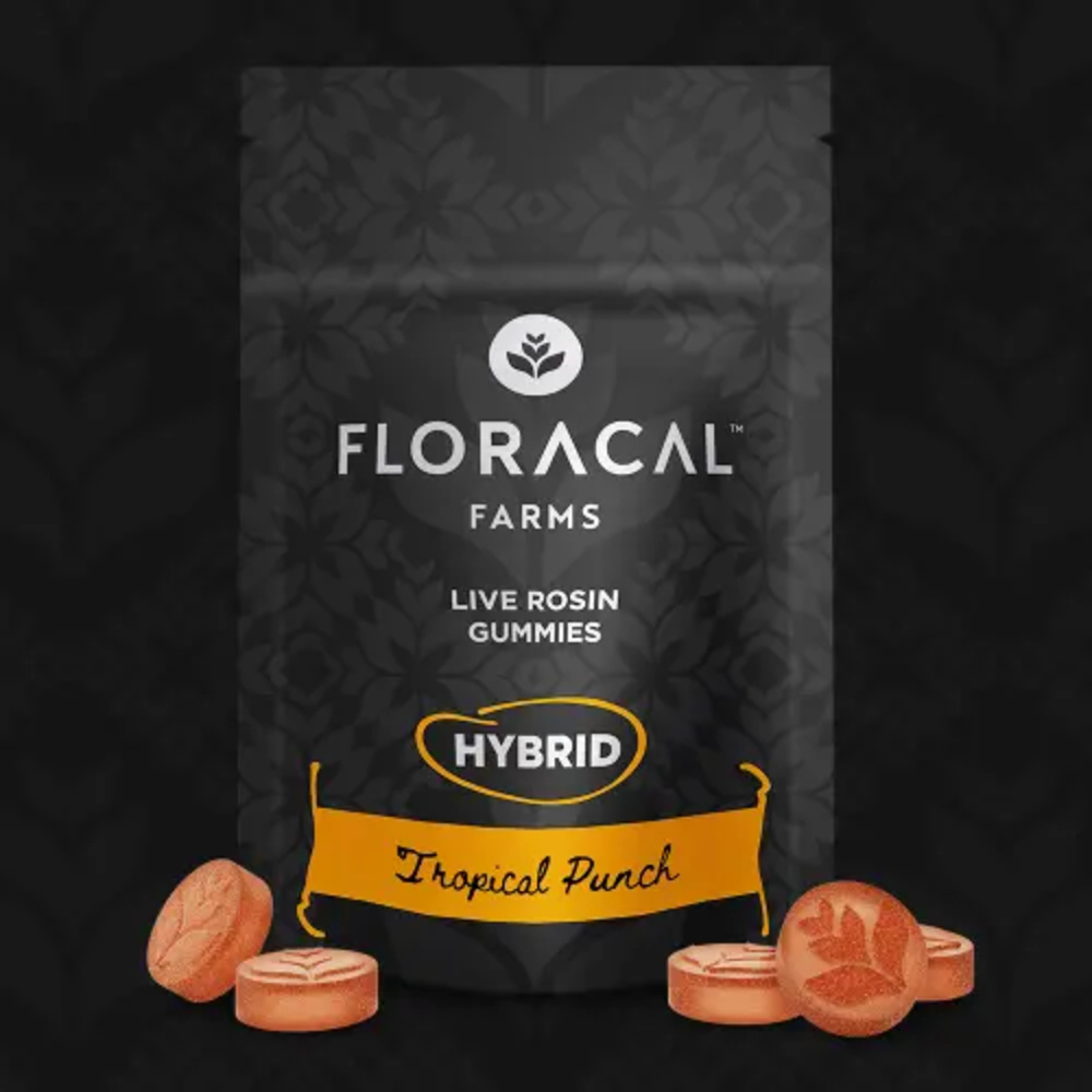 Live Rosin Gummies - Tropical Punch [10pk] (100mg)