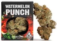 Watermelon Punch Watermelon Punch