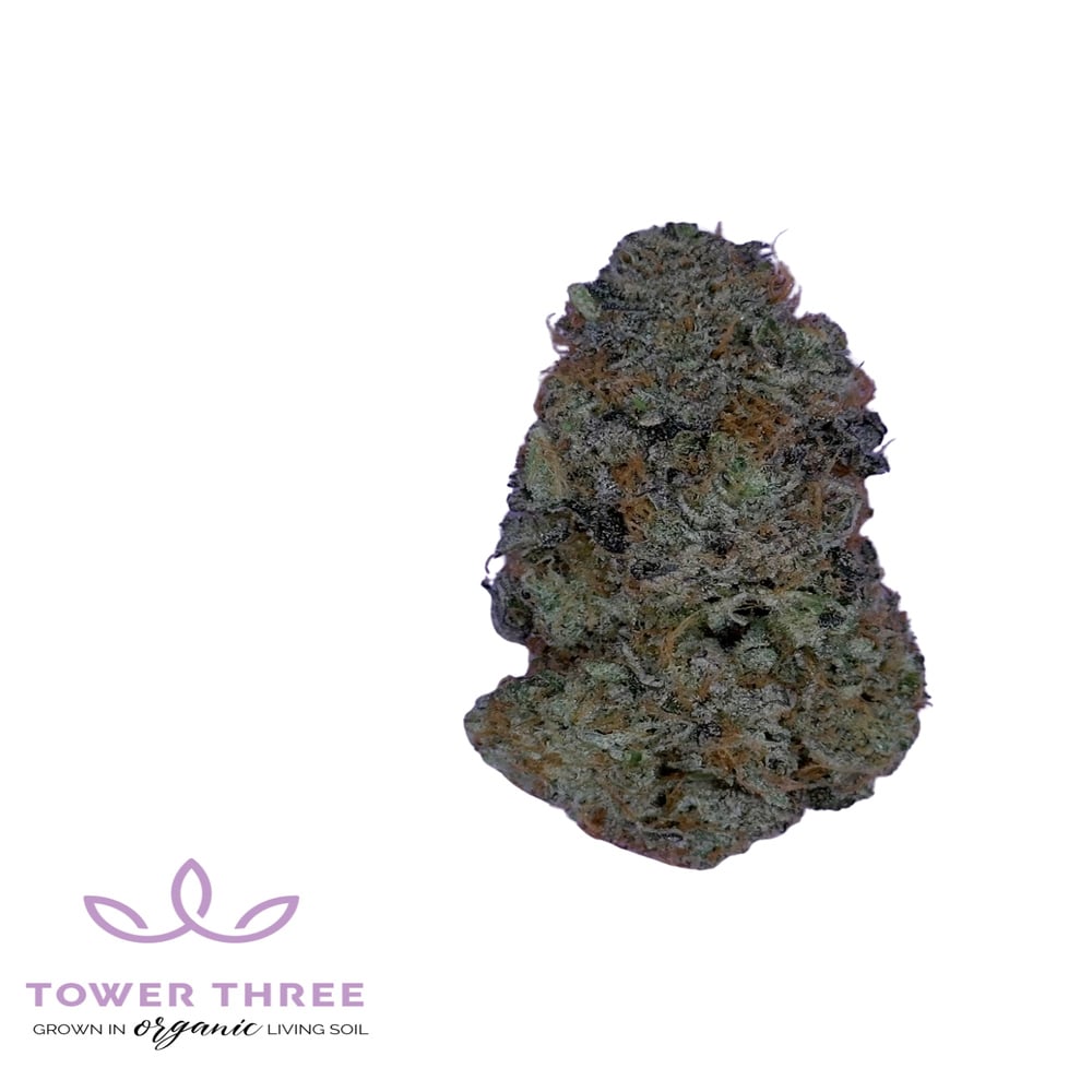 Zsunami Flower