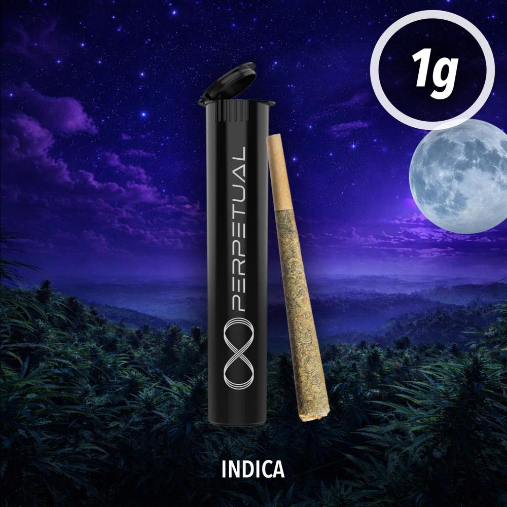 Perpetual - Gold Dust #5 Pre-Roll (1g)