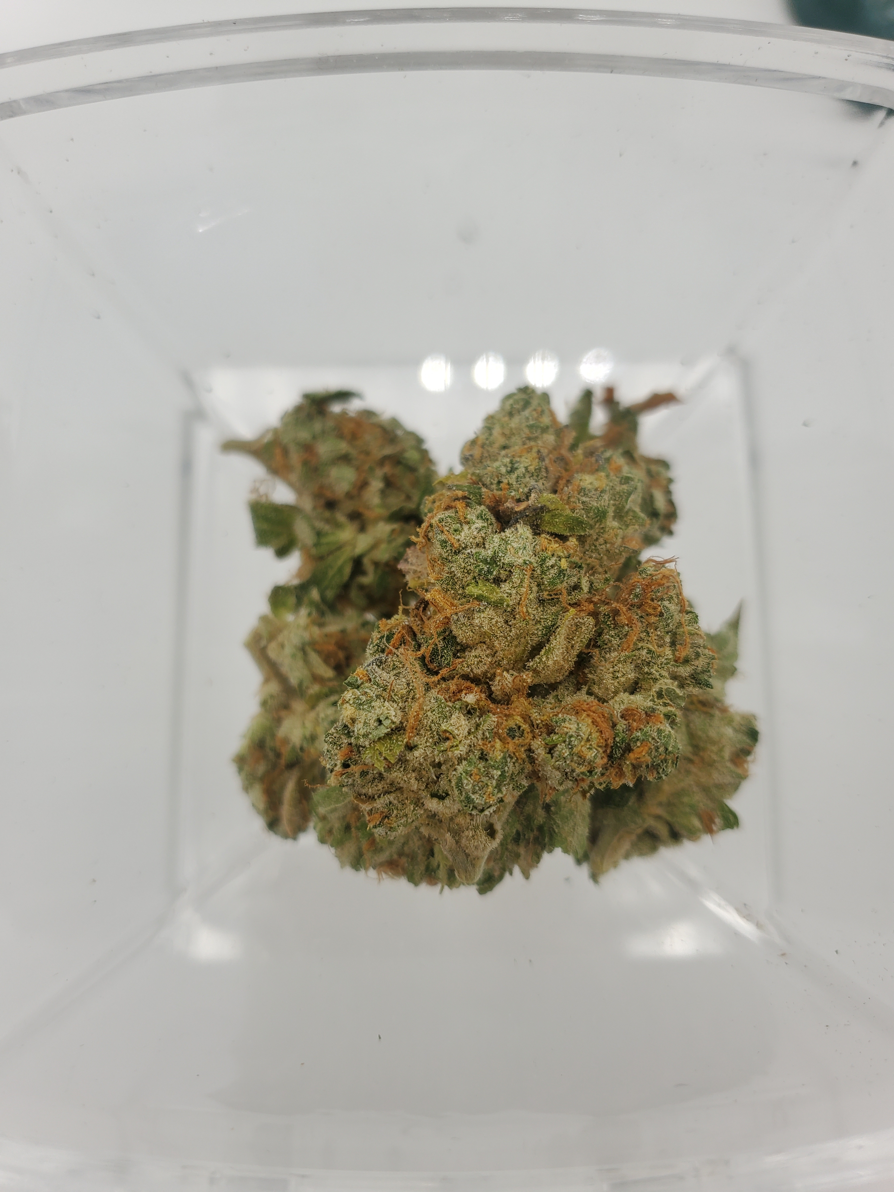 Shop Peanut Butter Biscuit | Delta Cannabis Co. Dispensary West