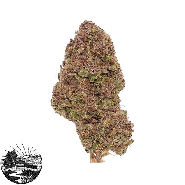 Tropical Gelato