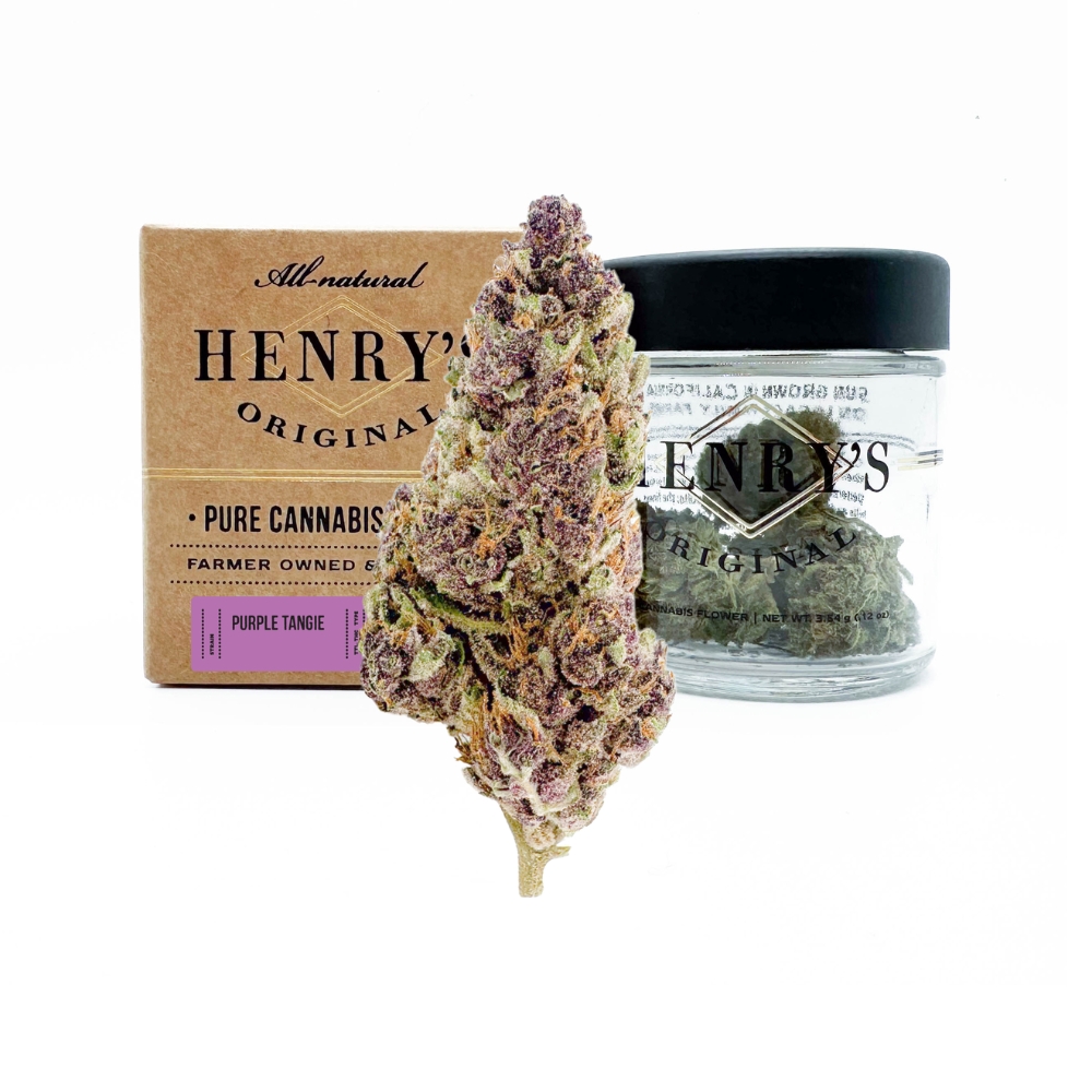 Purple Tangie