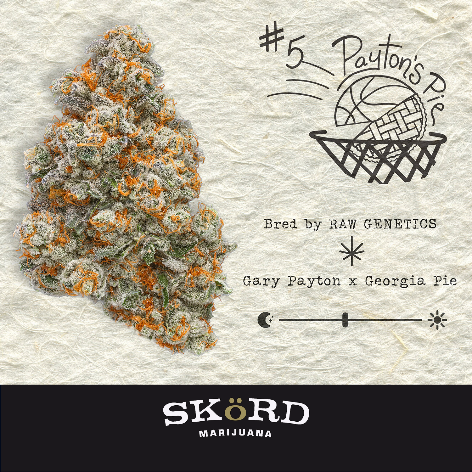 Payton's Pie