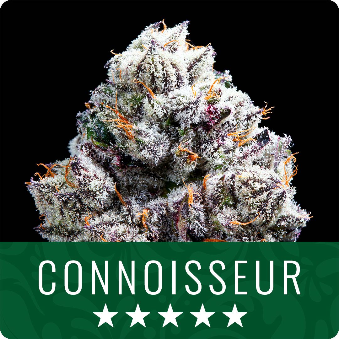 Mandarin Space Cookies